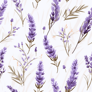 lavanda